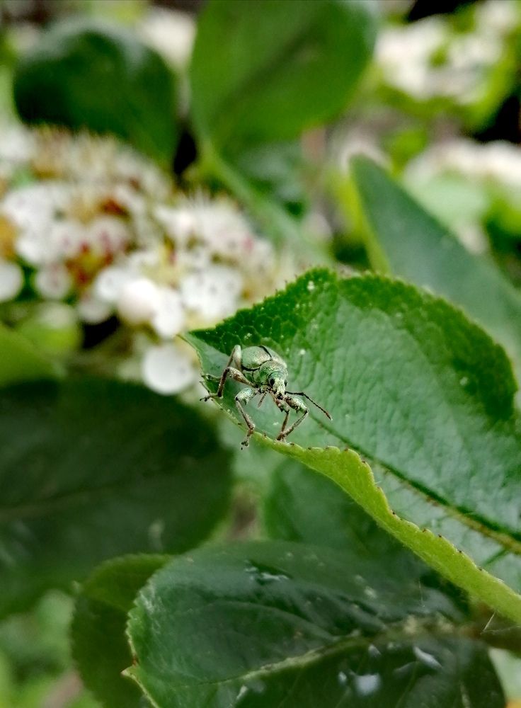 Photograph by Галина Смирнова