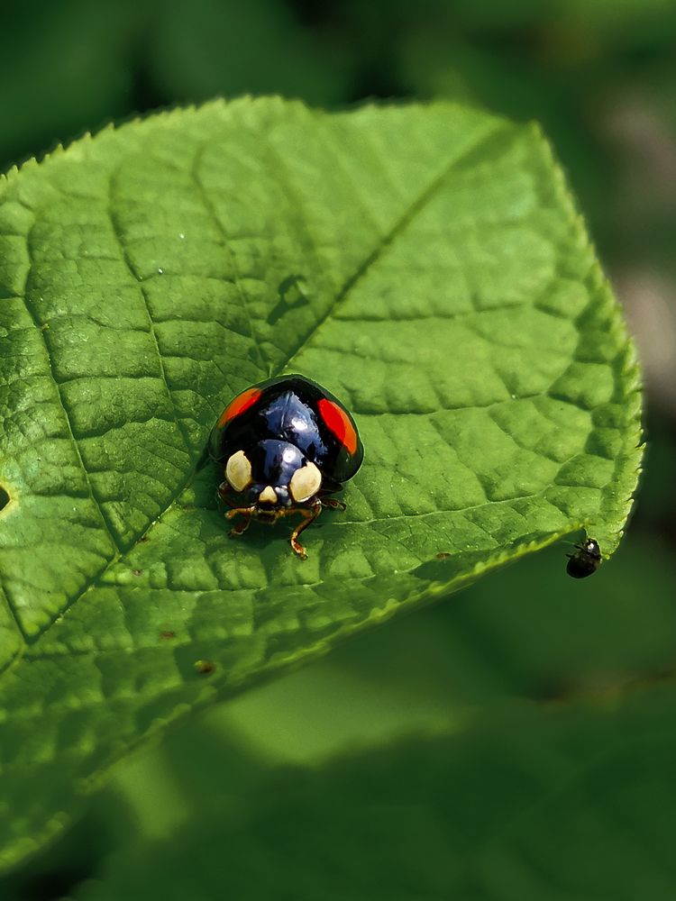 Photograph by Ирина Дегтярева