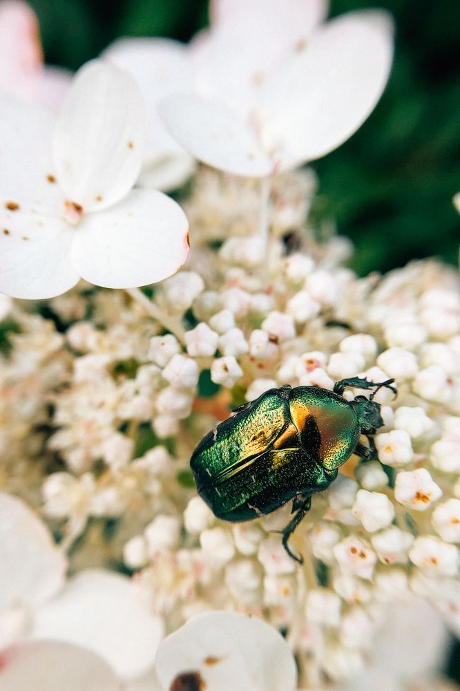 Photograph by Екатерина Федорова