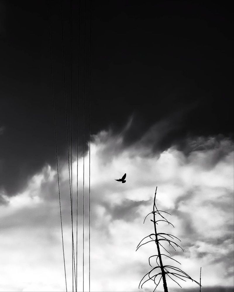 Photograph by Gourav Yadav