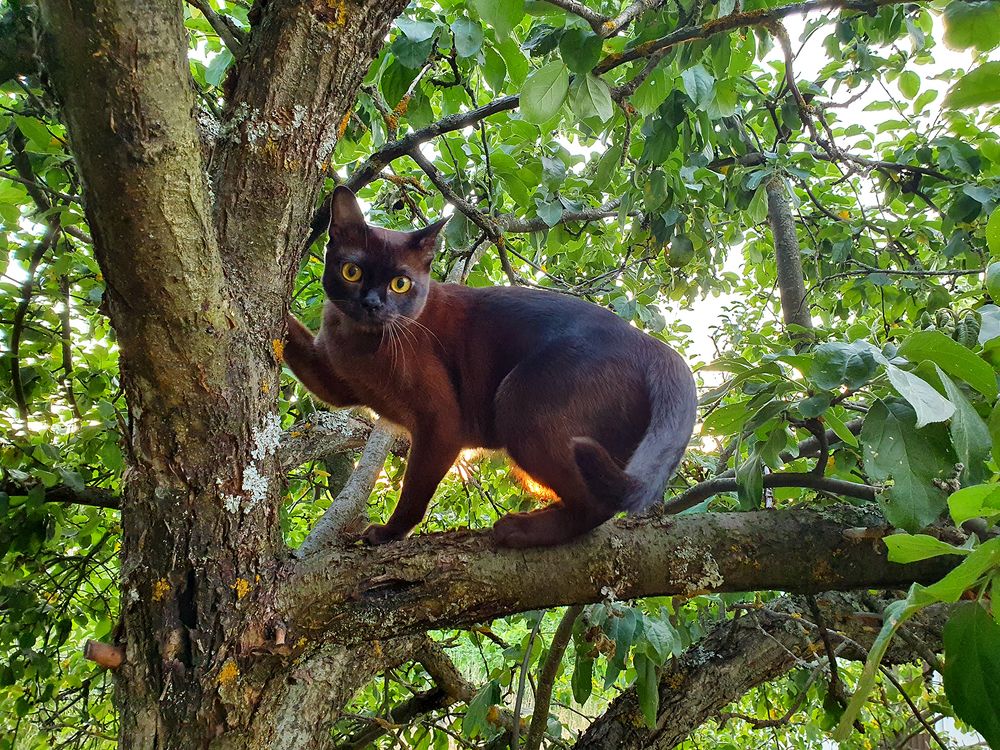 Фотография автора Надежда Лисицына