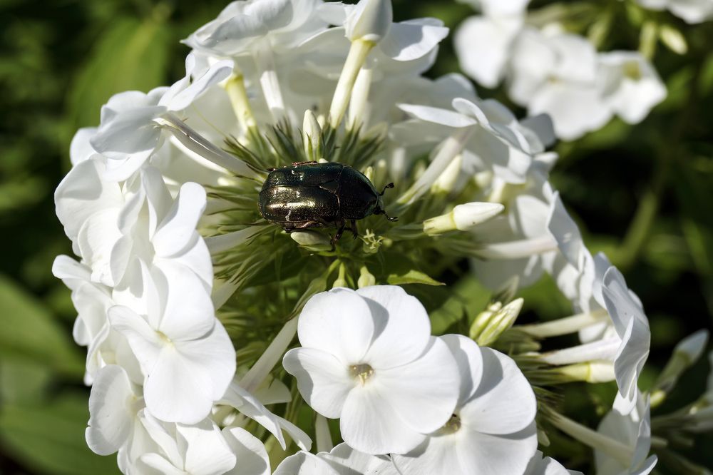 Фотография автора Павлов Дмитрий