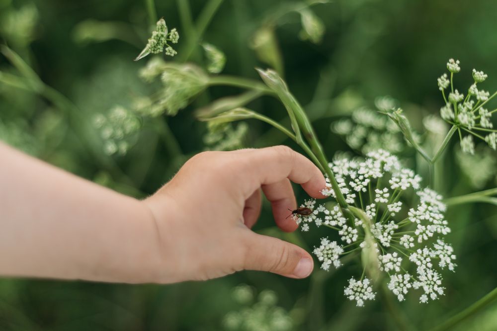 Photograph by Софья Гиззатуллина