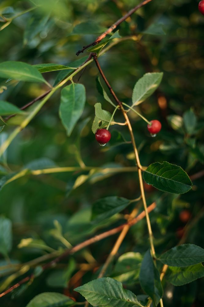 Photograph by Софья Гиззатуллина