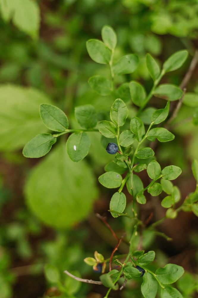 Photograph by Софья Гиззатуллина