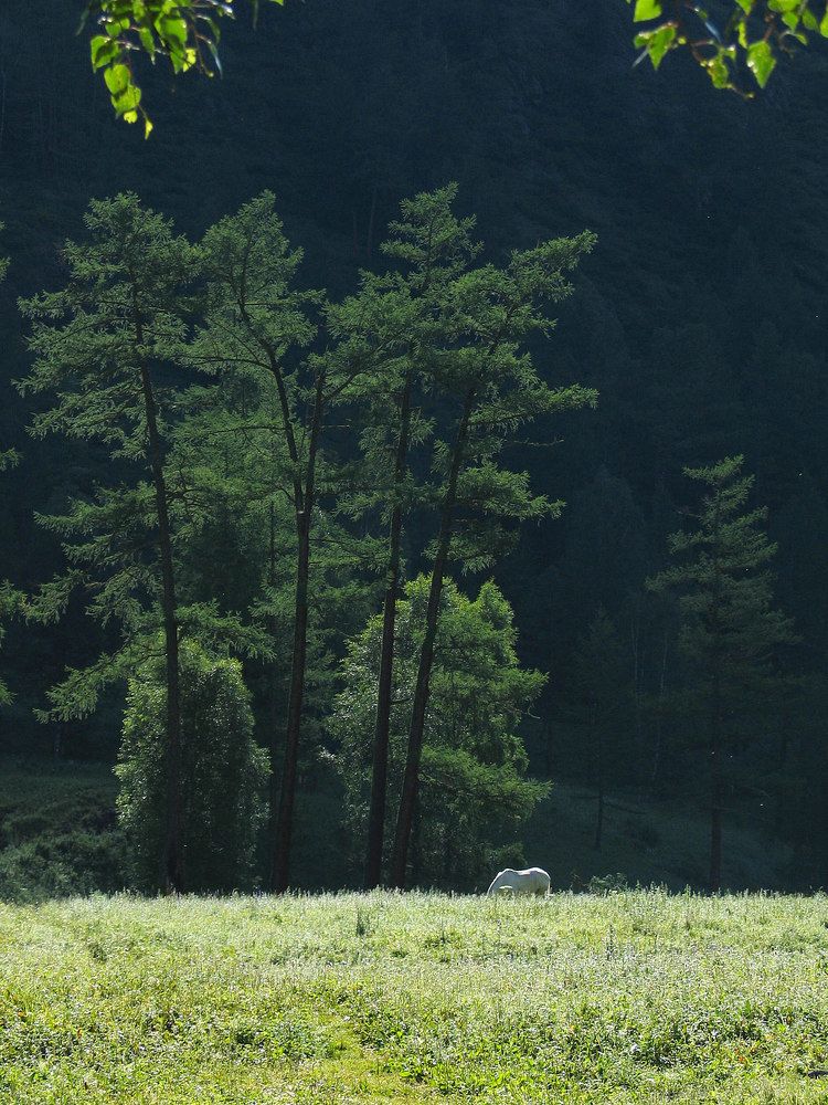Photograph by Дмитрий Ткаченко
