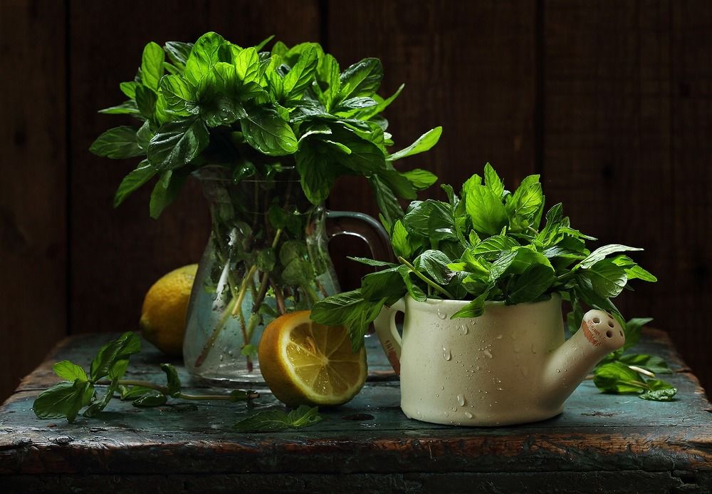 Photograph by Марина Володько