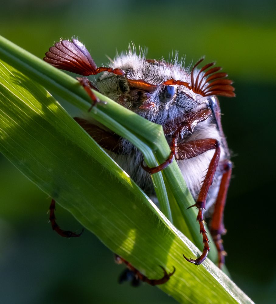 Photograph by Марина Новожилова