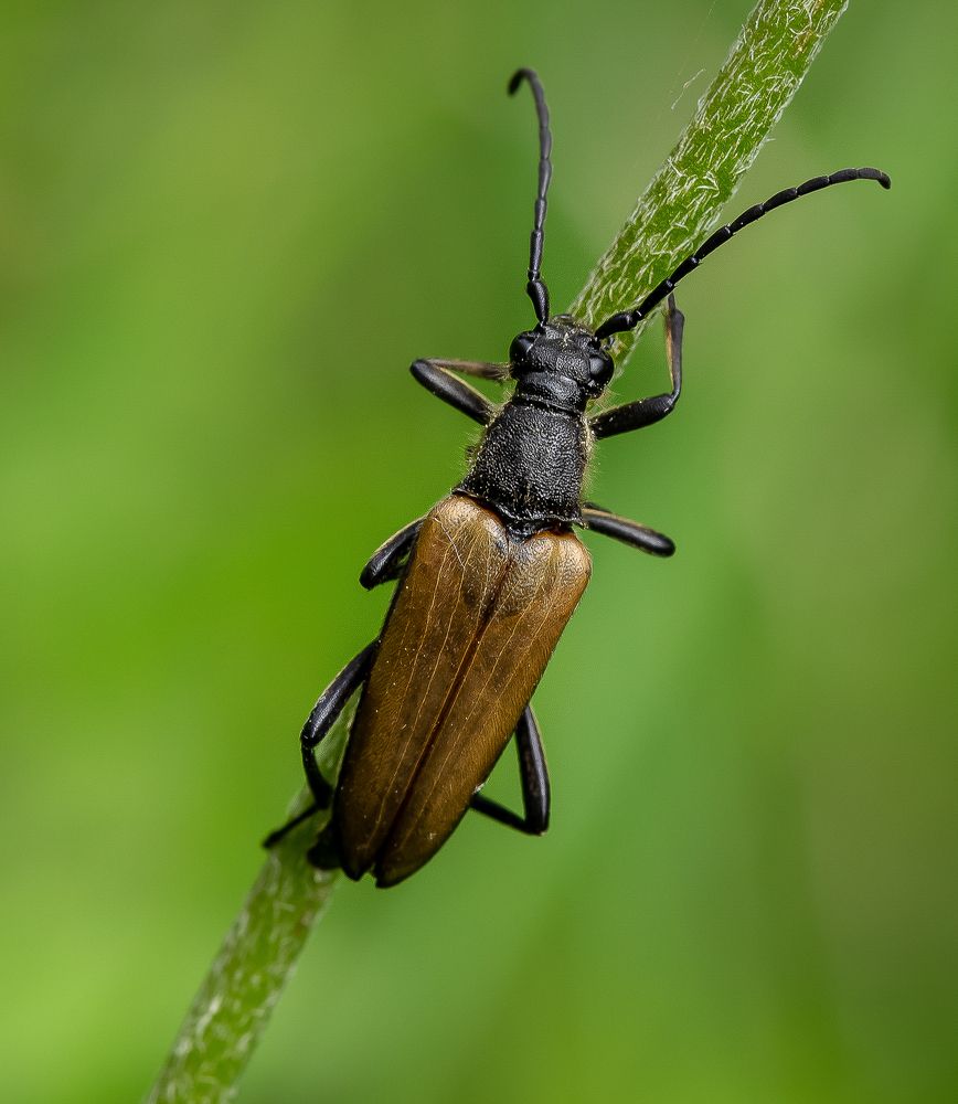Photograph by Марина Новожилова