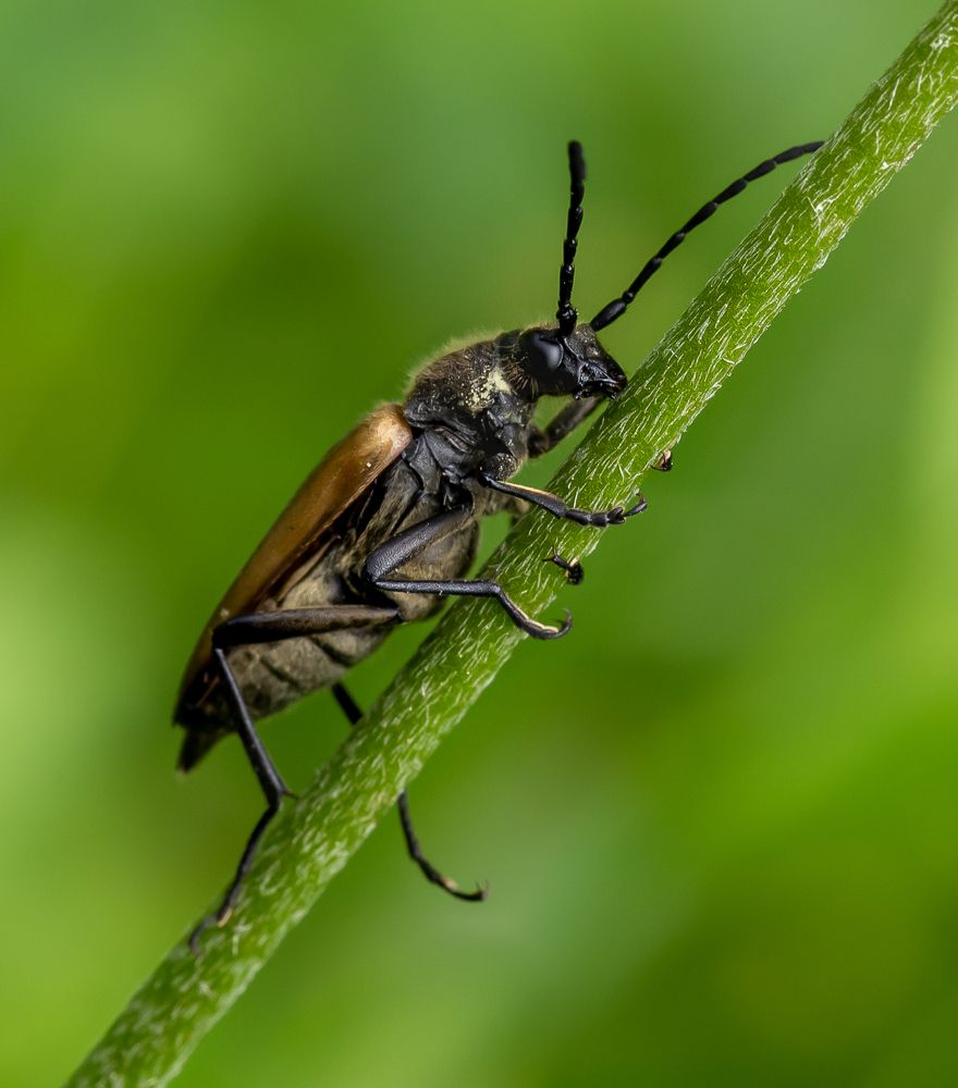 Photograph by Марина Новожилова