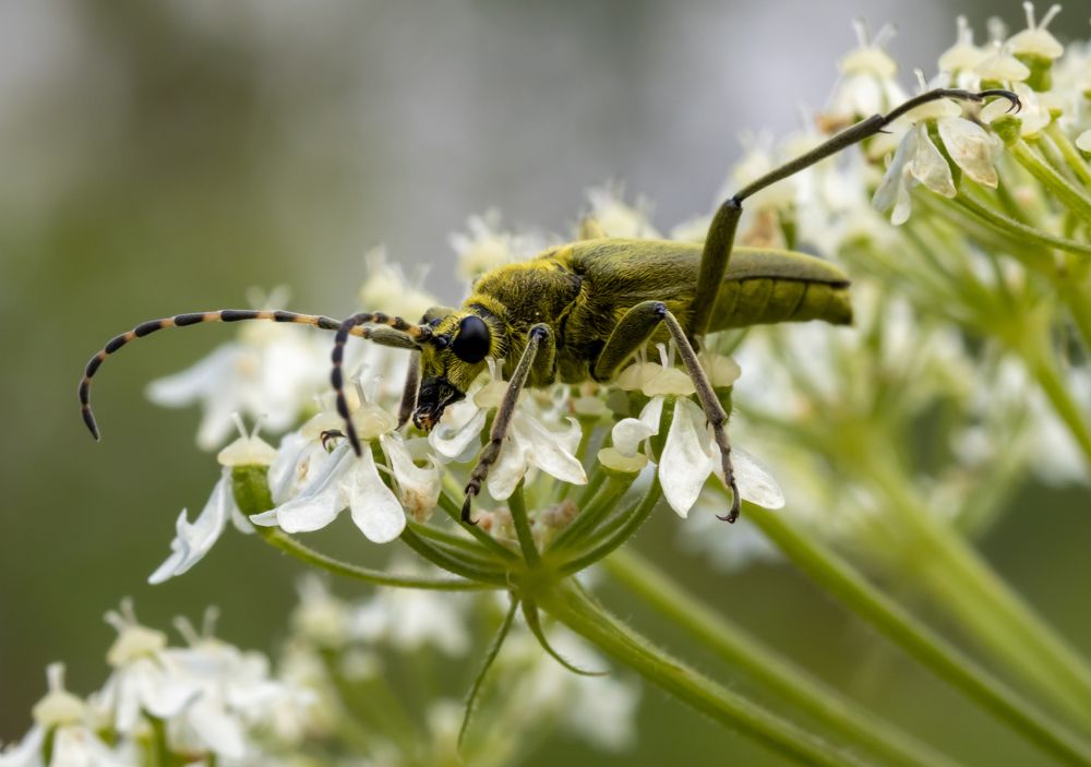 Photograph by Марина Новожилова