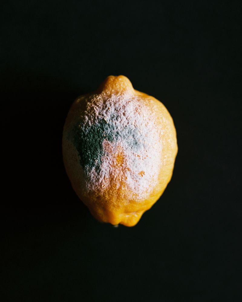 Photograph by Антон Бондарчук