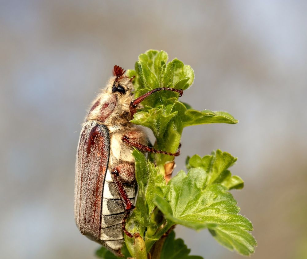 Photograph by Павел Краснослободцев