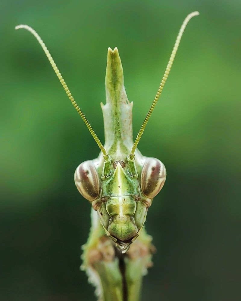Photograph by Gourav Yadav