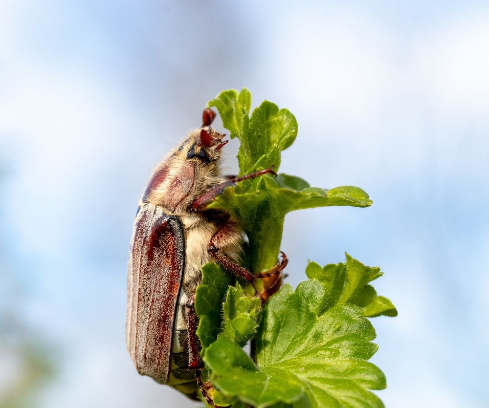 Photograph by Павел Краснослободцев