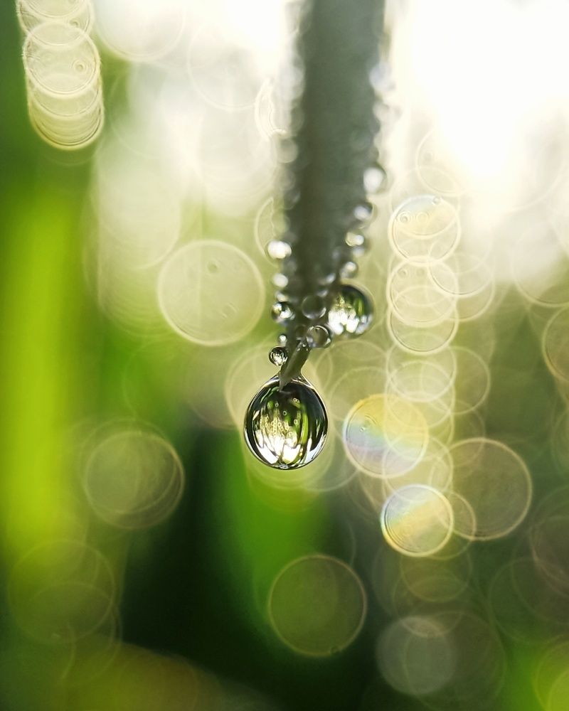 Photograph by Gourav Yadav