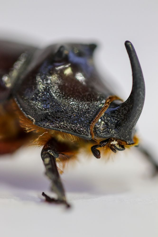 Photograph by Оксана Сафина