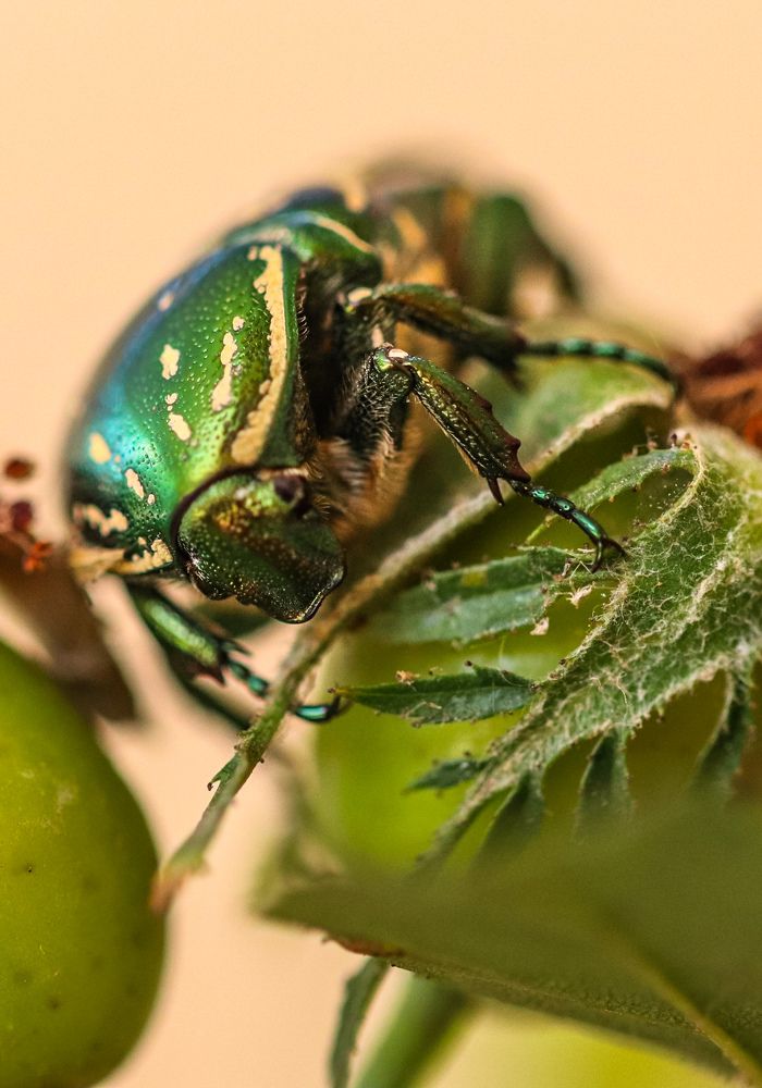 Photograph by Оксана Сафина