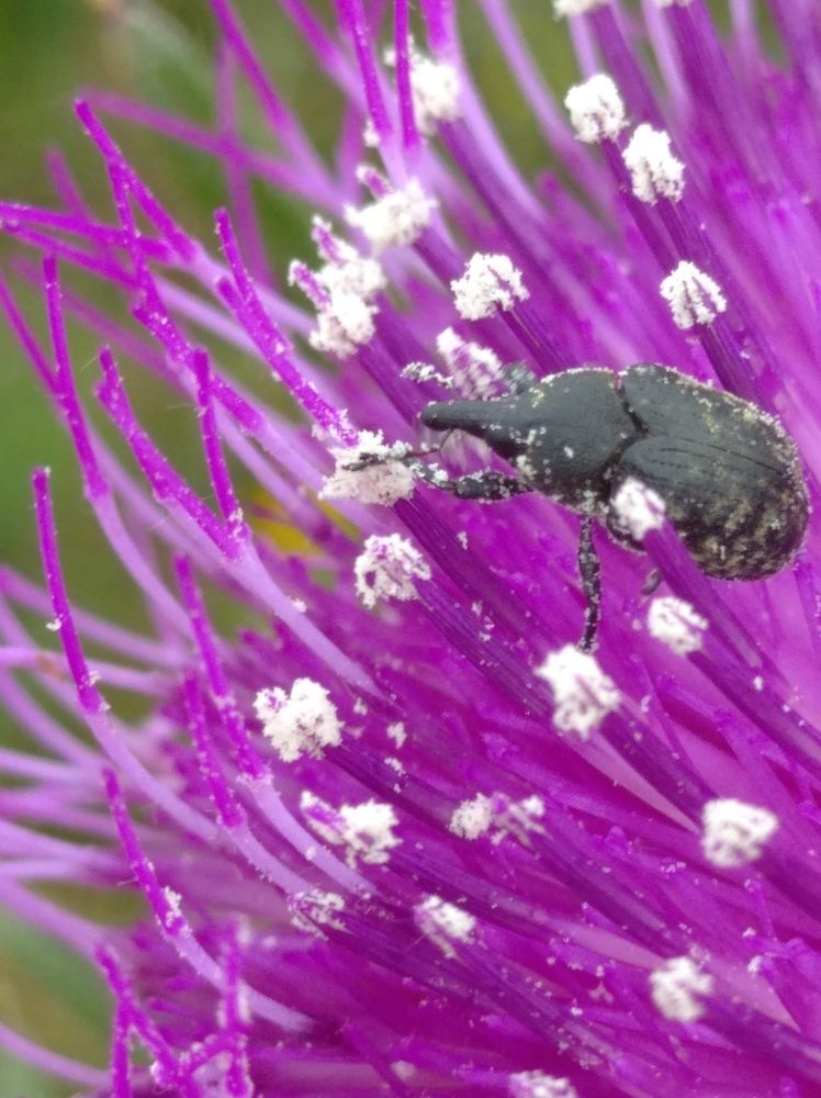 Photograph by Елена Коробченко