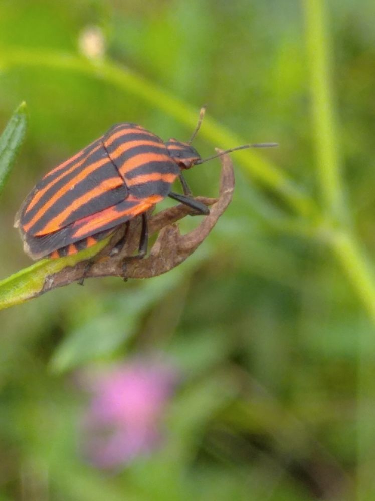 Photograph by Елена Коробченко