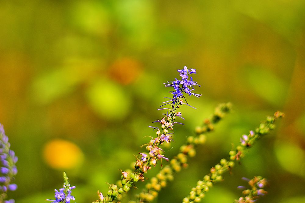 Photograph by Cергей Землянский