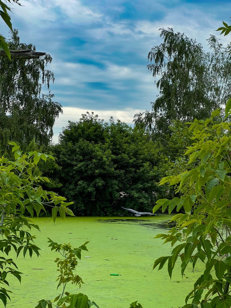 Photograph by Елена Сиушова