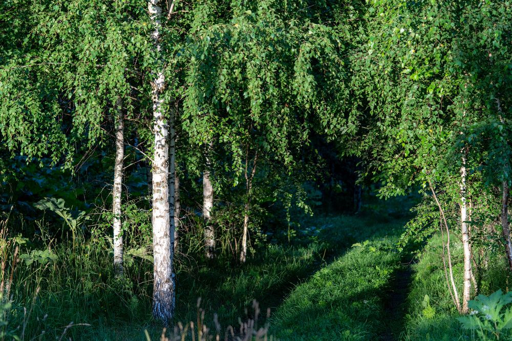 Photograph by Галина Аскольдовна Луковникова