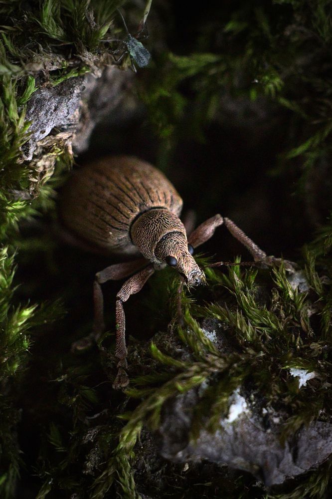 Photograph by Богачев Иван