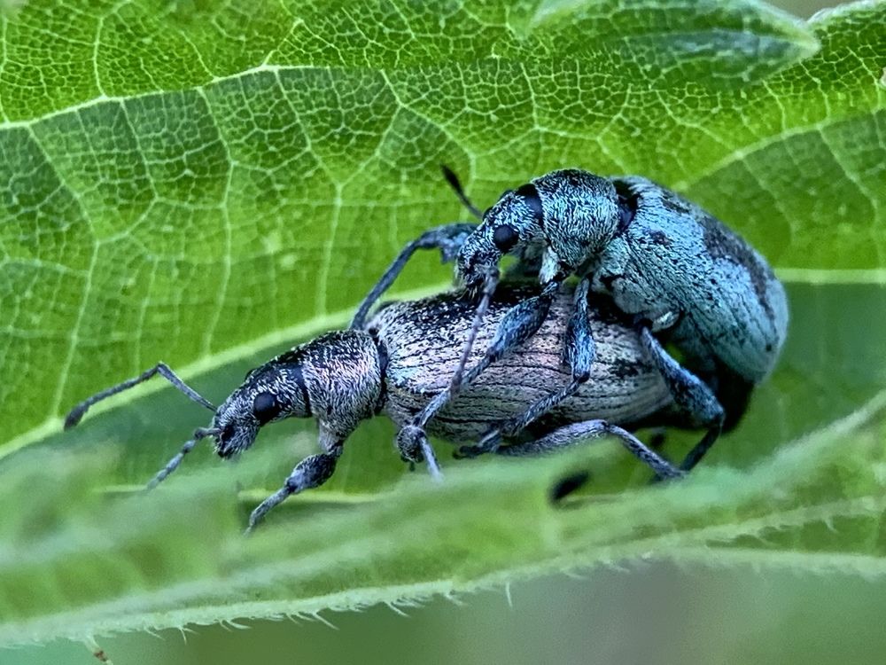 Photograph by Татьяна Гринько