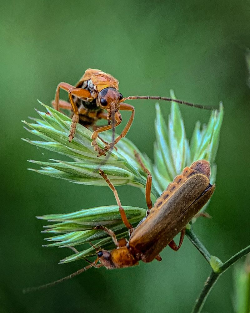 Photograph by Татьяна Гринько