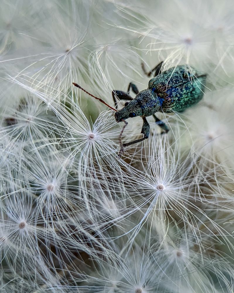 Photograph by Татьяна Гринько