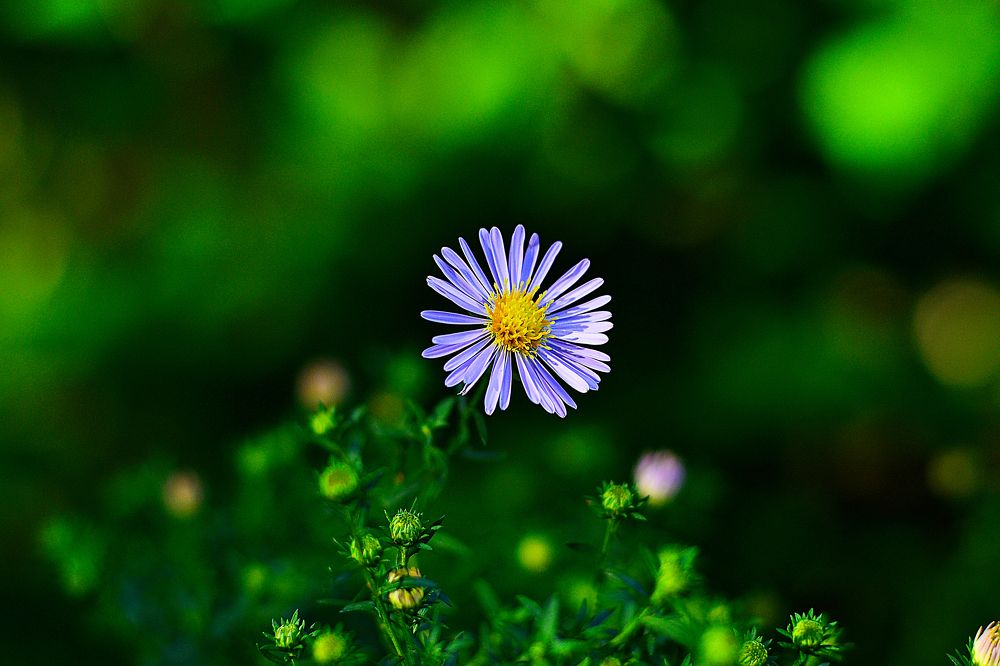 Photograph by Cергей Землянский