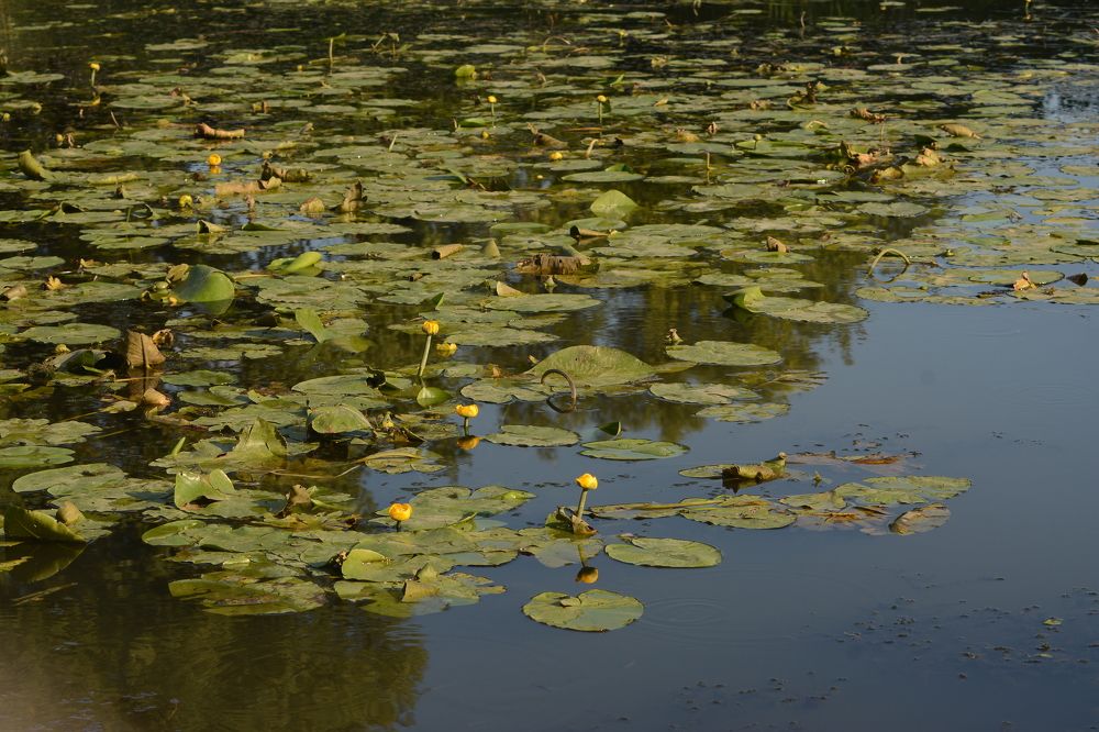 Photograph by Ольга Истомина