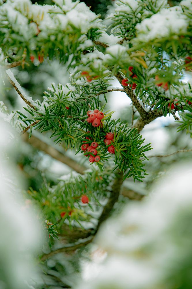 Photograph by Никита Зыков