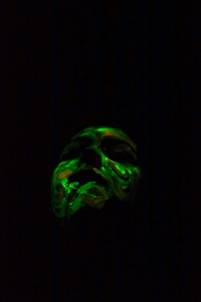 Photograph by Ольга Истомина