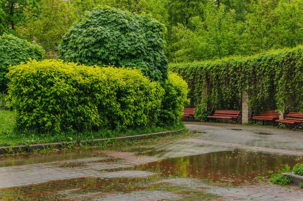 Photograph by Марина Короткова