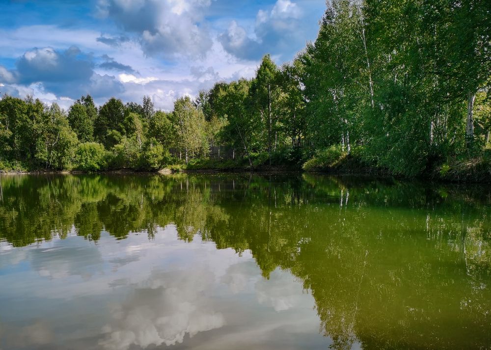 Photograph by Олеся Пучковская