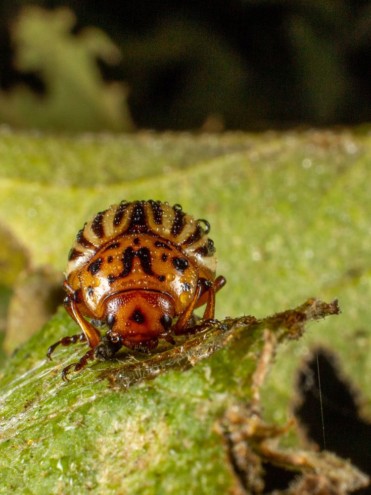 Photograph by Екатерина Талалай