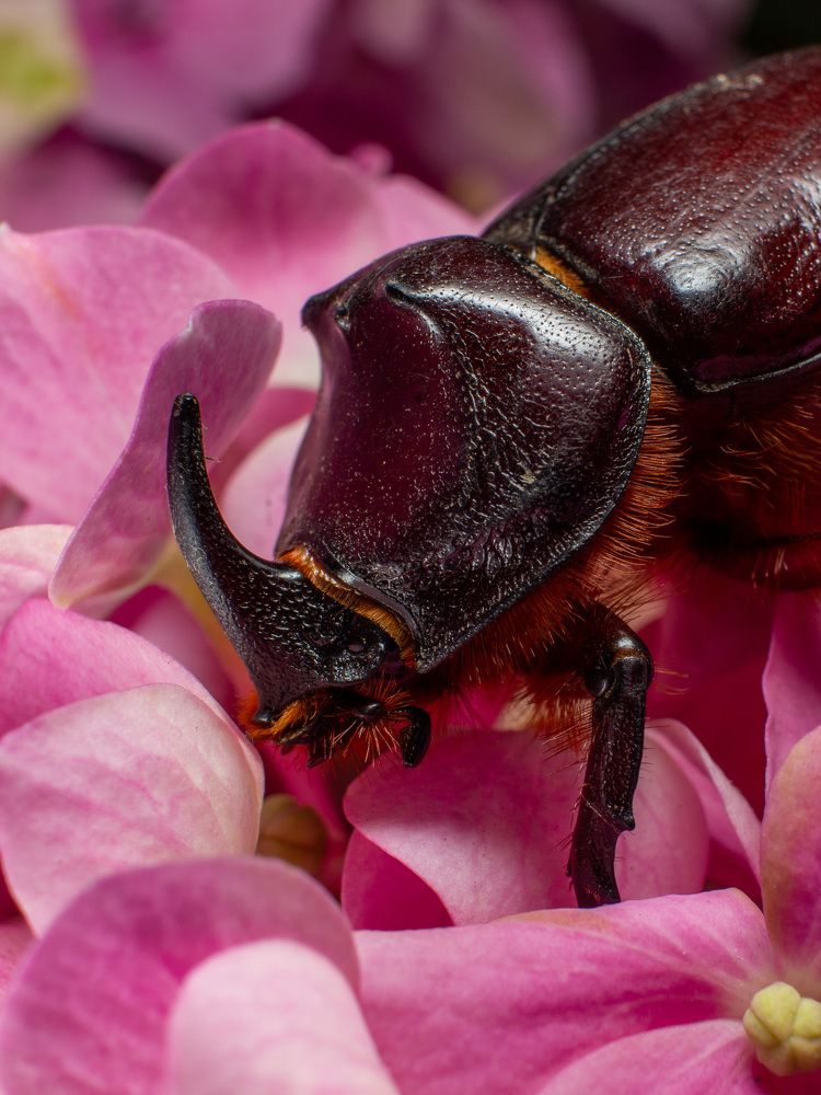 Photograph by Екатерина Талалай