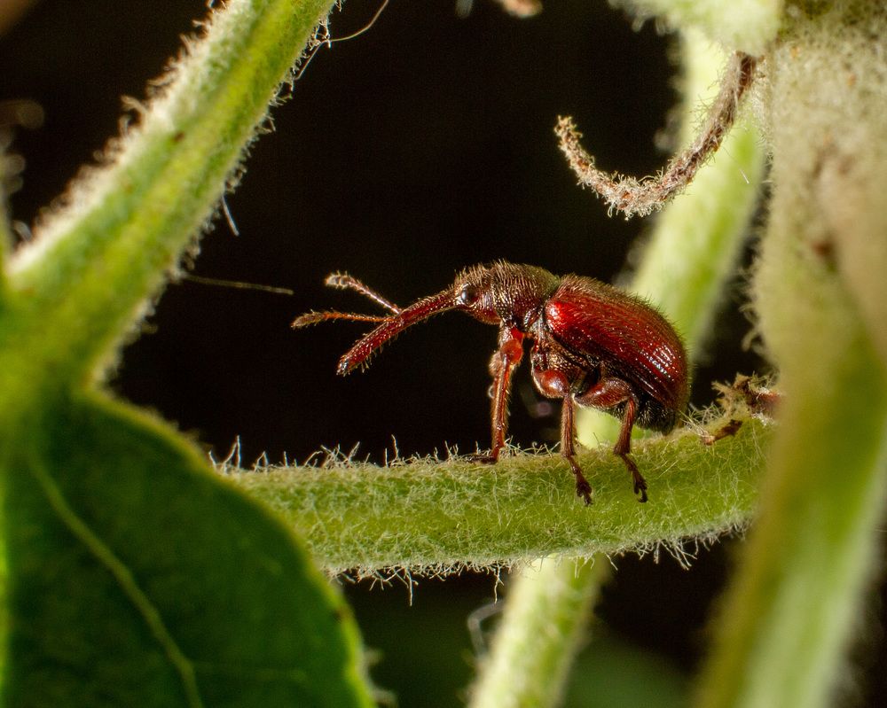 Photograph by Екатерина Талалай