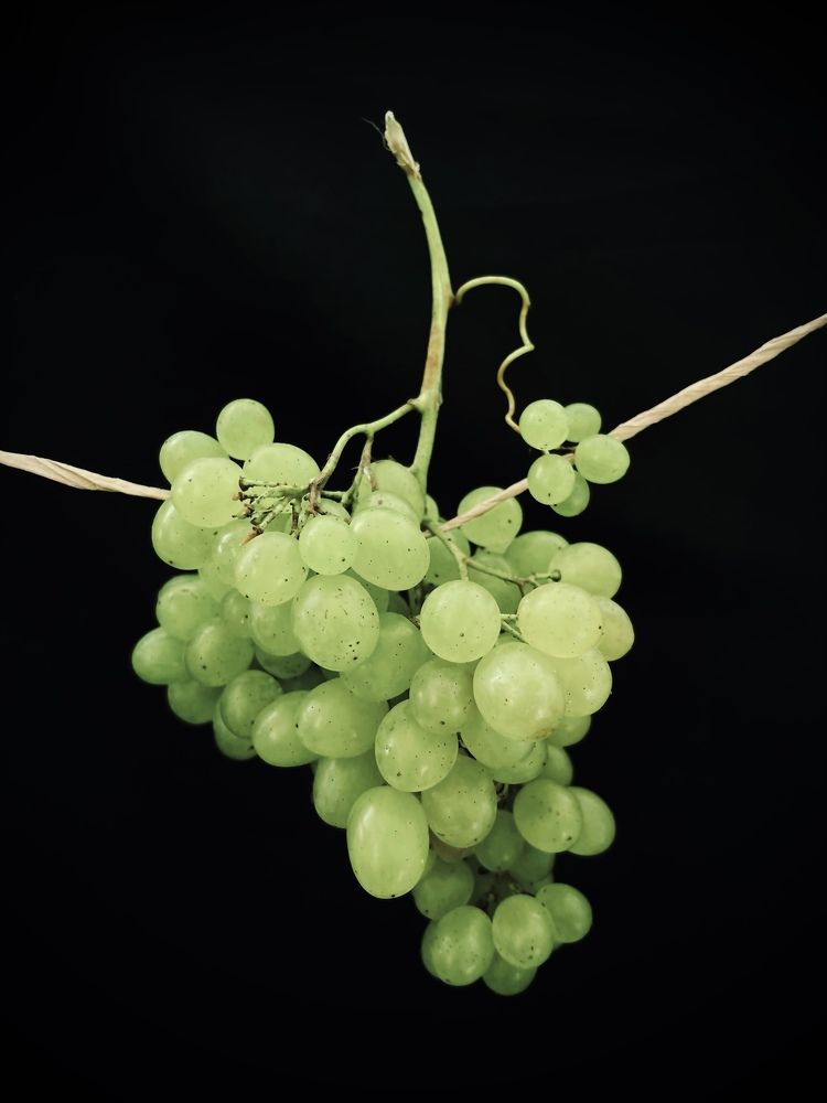 Фотография автора Ирина Мосько