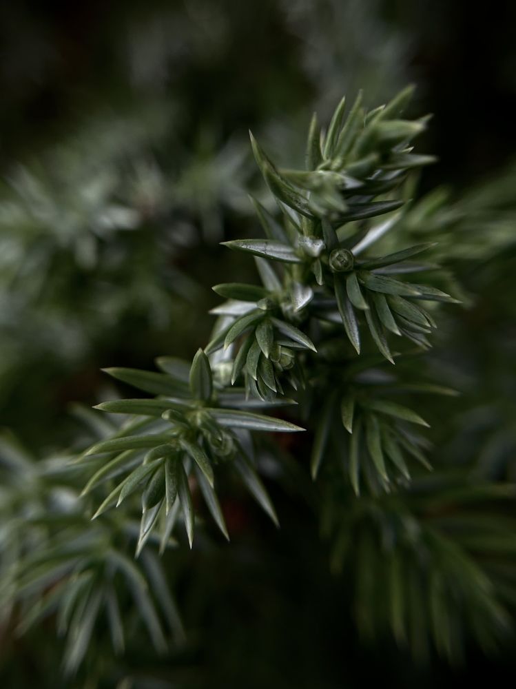 Фотография автора Ирина Мосько