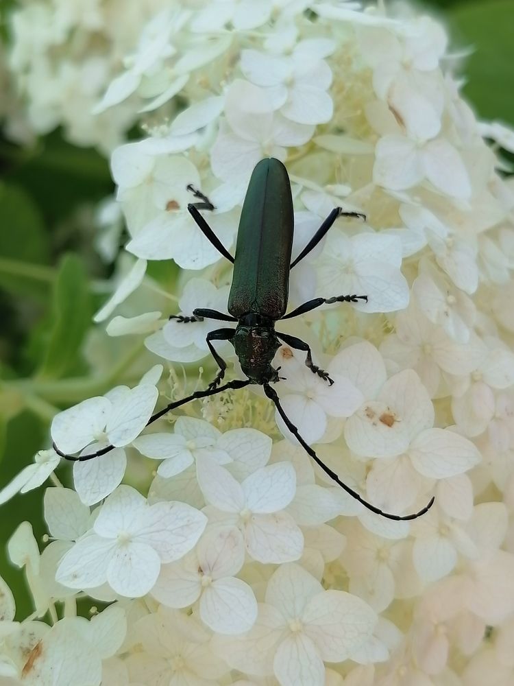 Photograph by Ирина Забродина