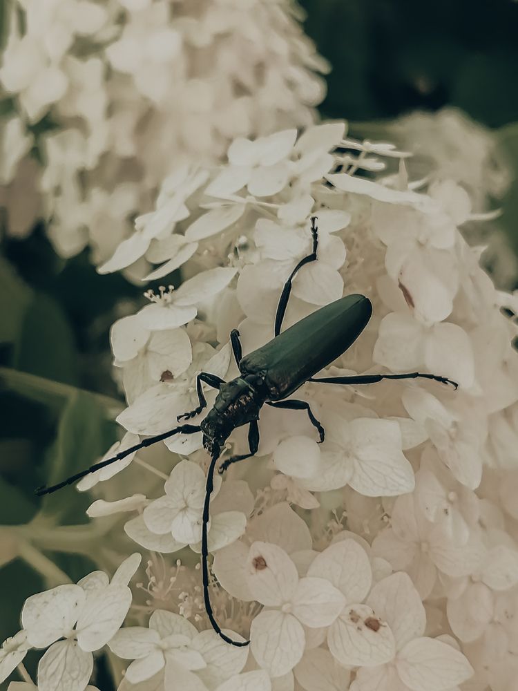 Photograph by Ирина Забродина