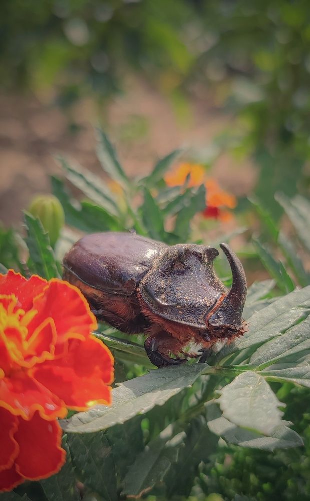 Фотография автора Анастасия Мамаева