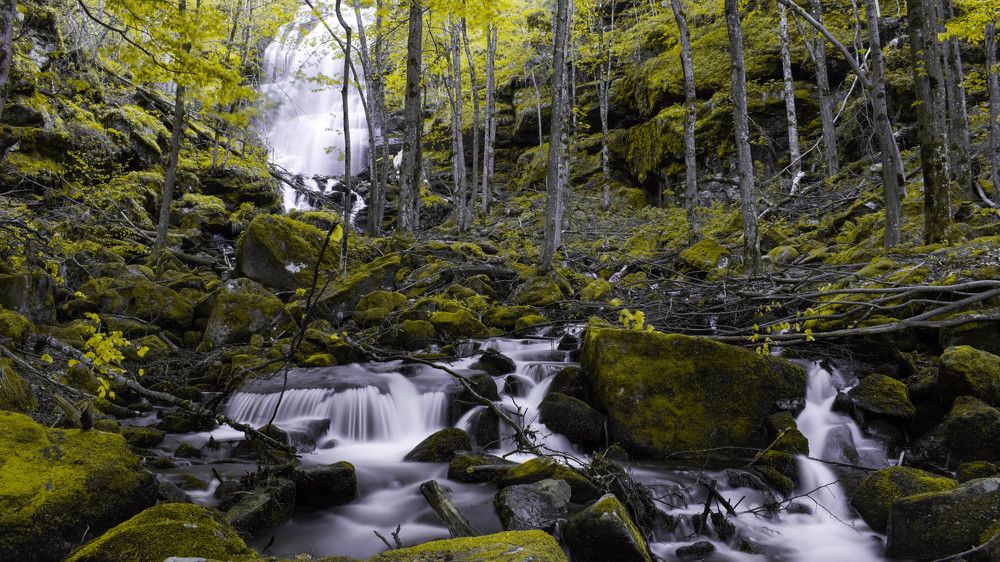 The long journey to the sea