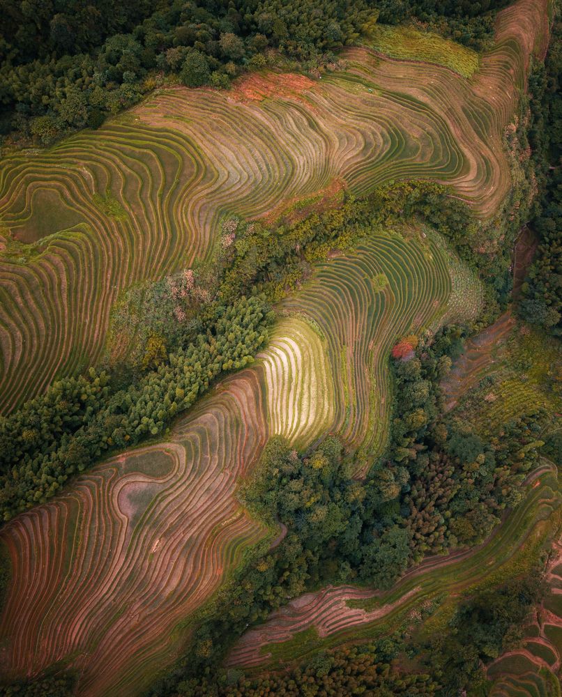 Longji Rice Terraces