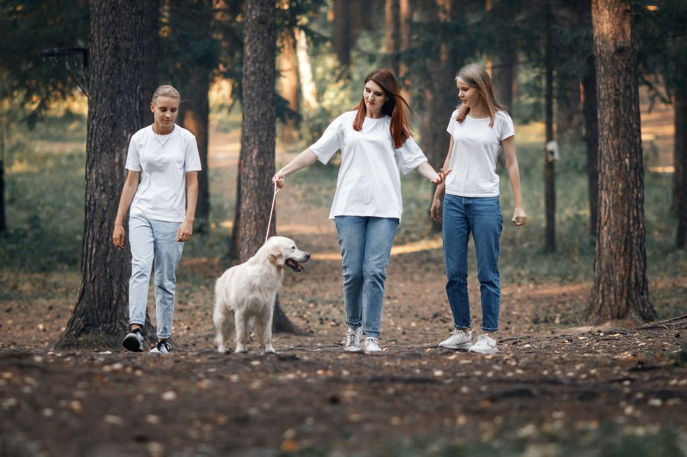 Photograph by Вячеслав Болякин