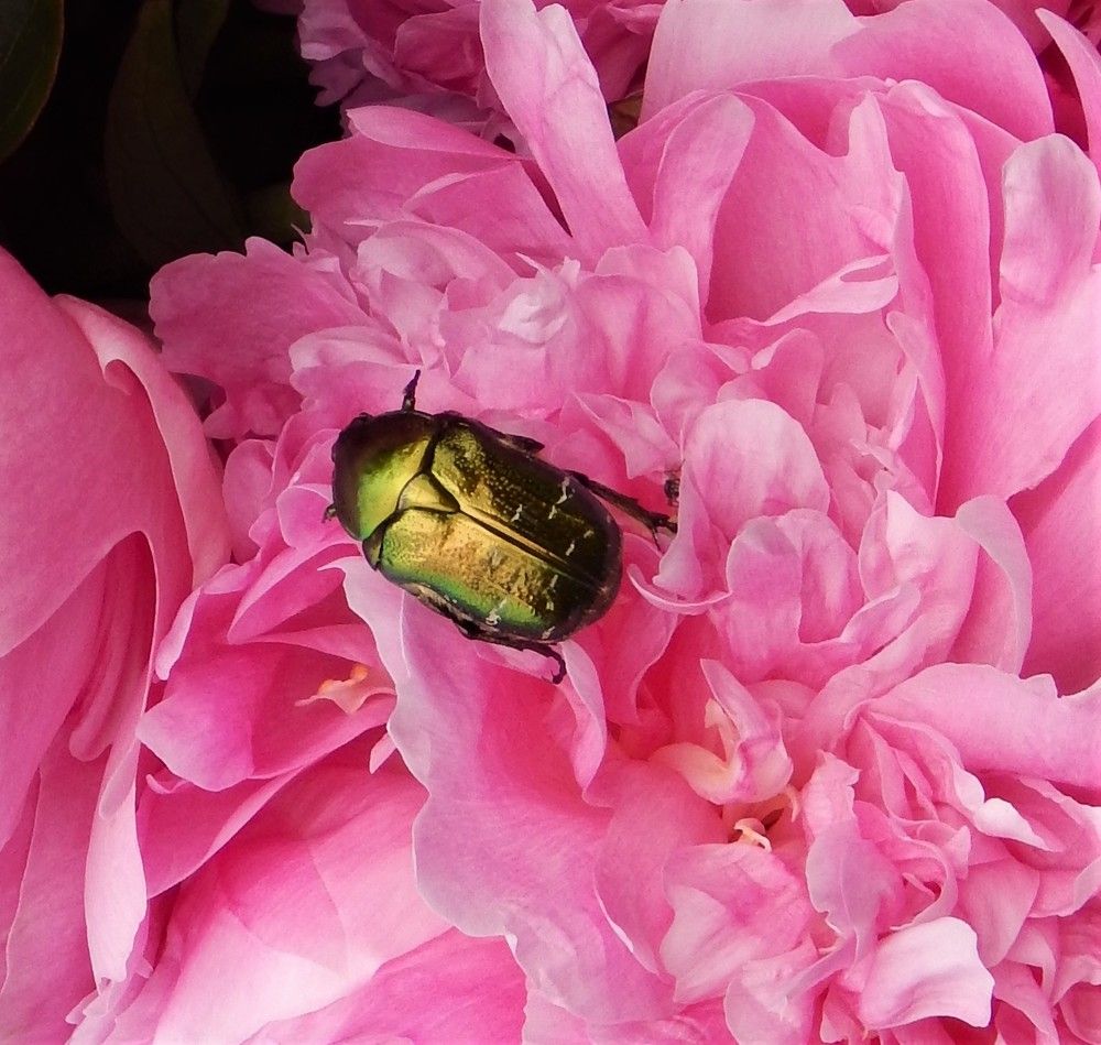 Photograph by Ирина Самойленко