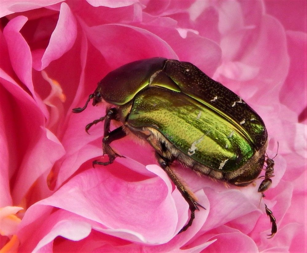 Photograph by Ирина Самойленко